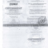 avtandeel-sertificat-2.jpg